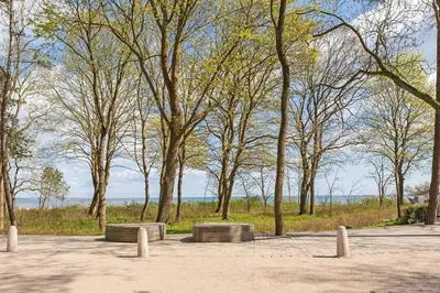 Naturlandschaft in der Nähe der Ferienwohnung