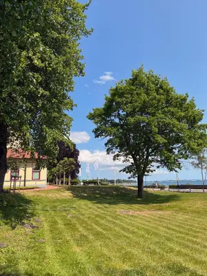 Naturlandschaft in der Nähe des Bed & Breakfasts