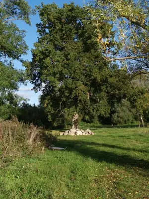 Naturlandschaft in der Nähe der Ferienwohnung