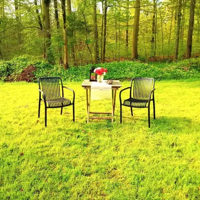 Ein Garten an der Unterkunft Wohnungen unter Reet