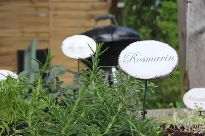 Ein Garten an der Unterkunft Wohnungen unter Reet