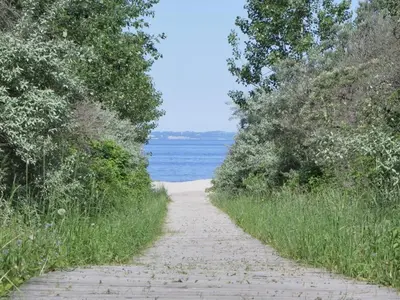 Naturlandschaft in der Nähe der Ferienwohnung