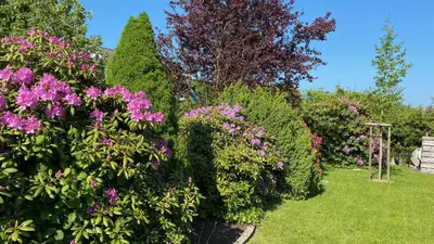 Ein Garten an der Unterkunft Haus Tulle - 2 Ferienwohnungen Schnupp & Lütte mit Saisonstrandkorb