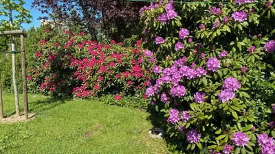 Ein Garten an der Unterkunft Haus Tulle - 2 Ferienwohnungen Schnupp & Lütte mit Saisonstrandkorb