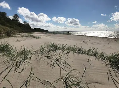 Naturlandschaft in der Nähe des Ferienhauses