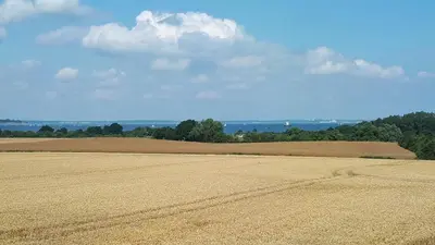 Naturlandschaft in der Nähe der Ferienwohnung
