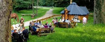 Gäste, die in der Unterkunft Ferienwohnung auf einem Reiterhof übernachten