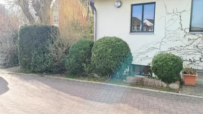 Ein Garten an der Unterkunft PEMATRA FeWo Mollenhauer