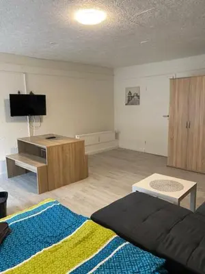 TV/Unterhaltungsangebot in der Unterkunft Family Apartments Lübeck