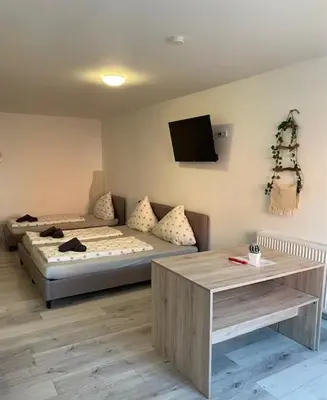 TV/Unterhaltungsangebot in der Unterkunft Family Apartments Lübeck