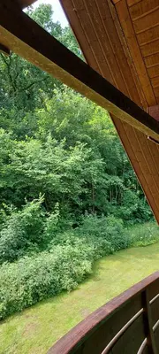 Ein Garten an der Unterkunft Scharbeutz Waldblick