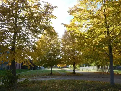Grundriss der Unterkunft Reese Uitzicht op de Trave