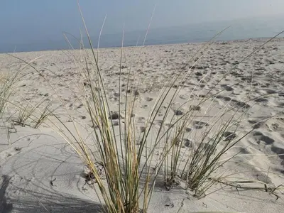 Grundriss der Unterkunft Chrissi's Baltic Sea nest