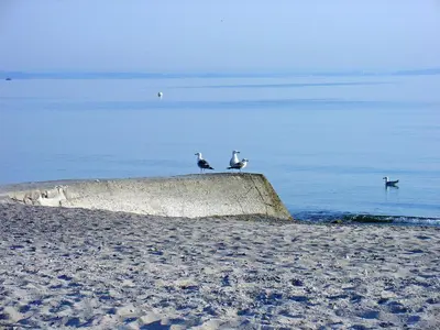 Naturlandschaft in der Nähe der Ferienwohnung