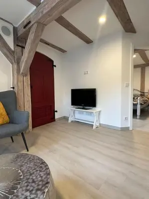 TV/Unterhaltungsangebot in der Unterkunft Rustica im alten Speicher