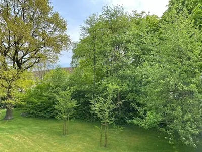 Ein Garten an der Unterkunft Ostseeperle