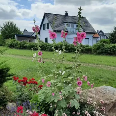 Haus am Meer