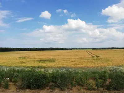Naturlandschaft in der Nähe des Ferienhauses