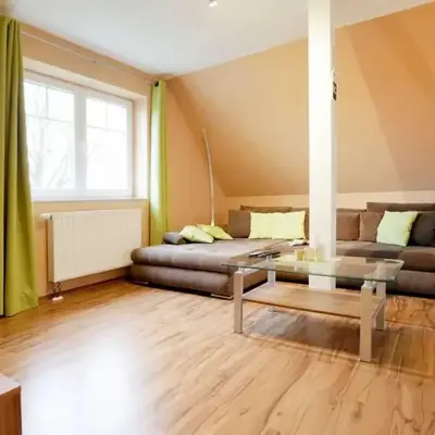 Schwannest 2