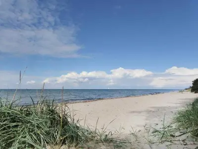 Naturlandschaft in der Nähe des Ferienhauses
