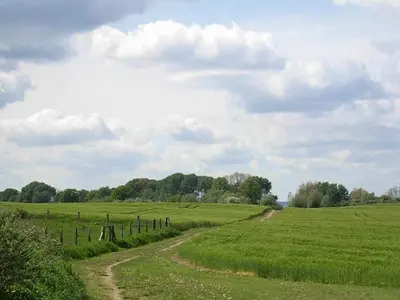 Naturlandschaft in der Nähe der Ferienwohnung