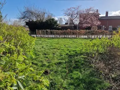 Ein Garten an der Unterkunft Klanggarten - Yoga, Wald, Stadtrand