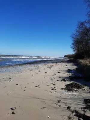 Naturlandschaft in der Nähe der Ferienwohnung