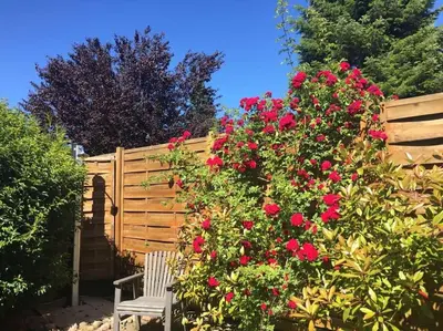 Ein Garten an der Unterkunft Ferienbungalow SOL