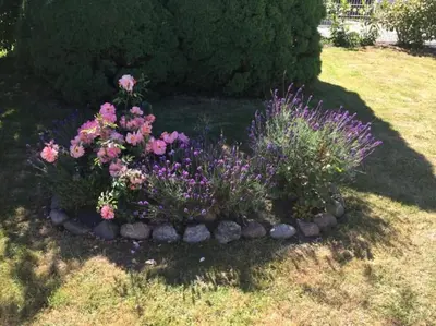 Ein Garten an der Unterkunft Ferienbungalow SOL
