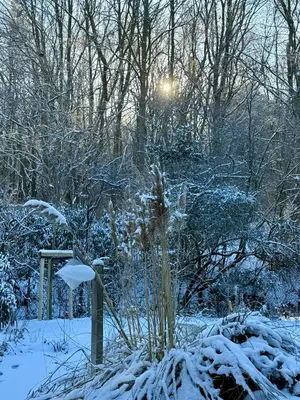 Schöne 120-qm-Ferienwohnung - Sonnenterrasse - Stadtgrenze Lübeck im Winter