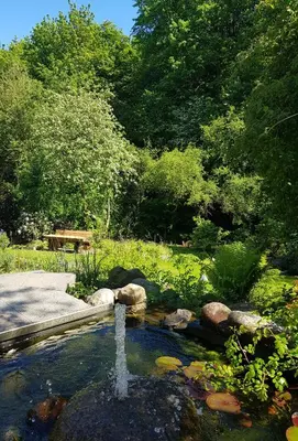 Naturlandschaft in der Nähe der Ferienwohnung