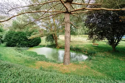 Naturlandschaft in der Nähe der Ferienwohnung