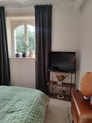 TV/Unterhaltungsangebot in der Unterkunft Sonniges Appartment in Jugendstilvilla