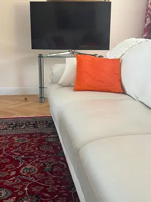 TV/Unterhaltungsangebot in der Unterkunft Dünenhaus Garten