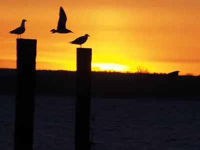 Blick auf den Sonnenuntergang/Sonnenaufgang von des Ferienhauses aus oder aus der Nähe