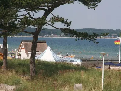Naturlandschaft in der Nähe des Ferienhauses
