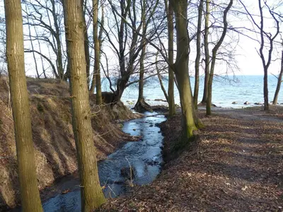 Naturlandschaft in der Nähe der Ferienwohnung