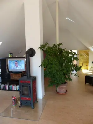 TV/Unterhaltungsangebot in der Unterkunft Loft Sierksdorf