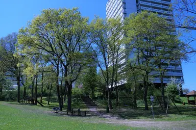 Ein Garten an der Unterkunft Panoramic Sierksdorf App A15-7