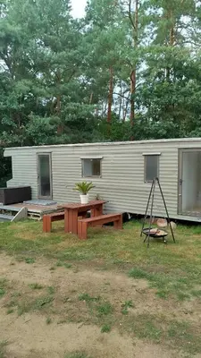Ein Garten an der Unterkunft Mobil House auf Tierschutz Landhof inmitten der Natur bei Lübeck
