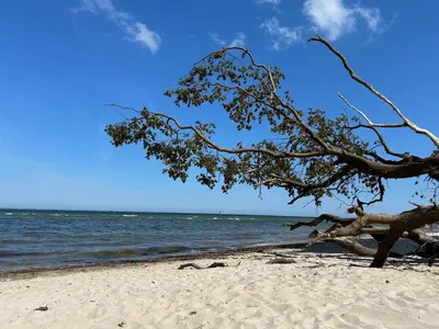 Naturlandschaft in der Nähe des Ferienhauses