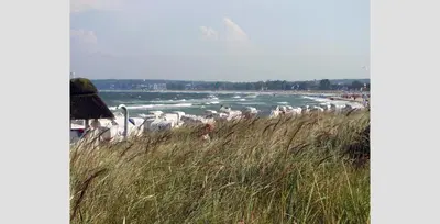 Naturlandschaft in der Nähe der Ferienwohnung