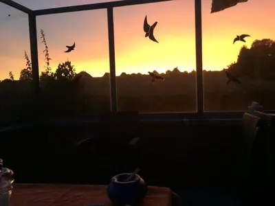 Blick auf den Sonnenuntergang/Sonnenaufgang von des Ferienhauses aus oder aus der Nähe