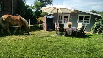 Gäste, die in der Unterkunft Sonnenscheinhof Alpakas, Alpaka Hütte übernachten