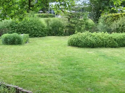 Ein Garten an der Unterkunft Haus am Mühlbach