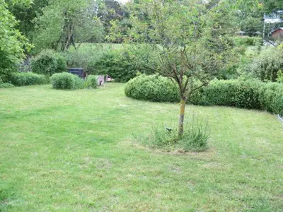 Ein Garten an der Unterkunft Haus am Mühlbach