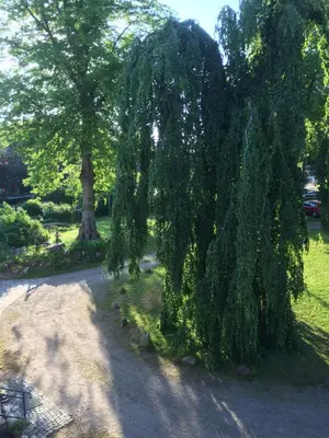Ein Garten an der Unterkunft Herrenhaus Hohewarte