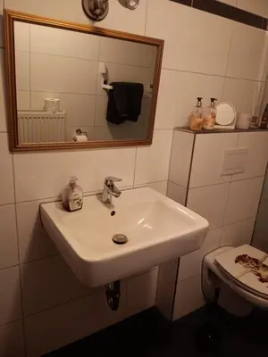 Ein Badezimmer in der Unterkunft Sonnenscheinhof Alpakas, Ferienwohnung