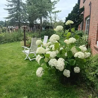 Sonnenscheinhof Alpakas