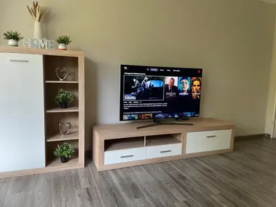 TV/Unterhaltungsangebot in der Unterkunft GartenOase Lübeck
